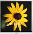 /album/photo-gallery-canvas-uri/decoratiuni-de-perete-canvas-lc-1321-jpg/
